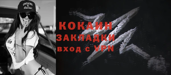 прущие грибы Ростов