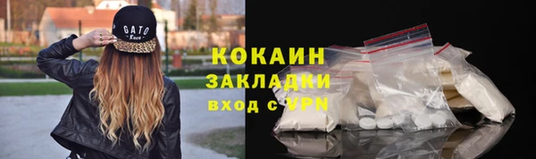 хмурый Алзамай