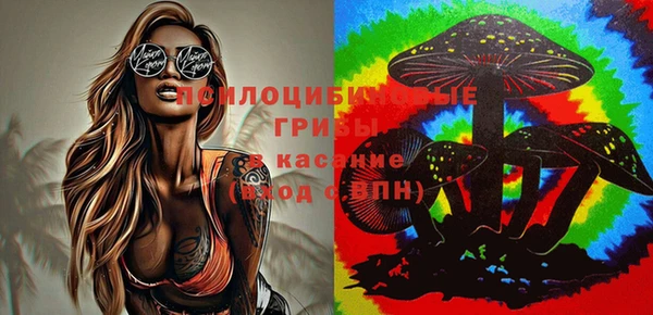 хмурый Алзамай