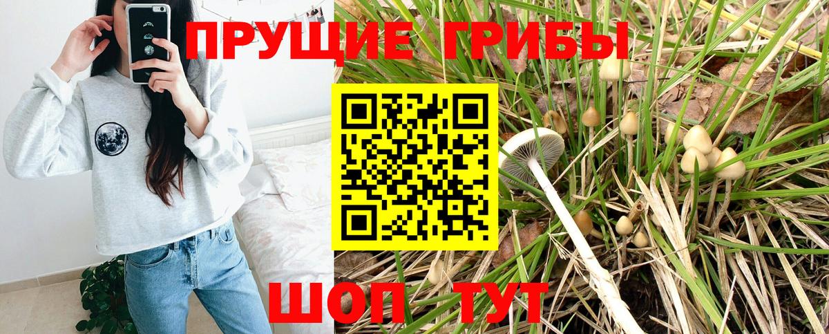 Мегион  Галлюциногенные грибы MAGIC MUSHROOMS  Вход с VPN 