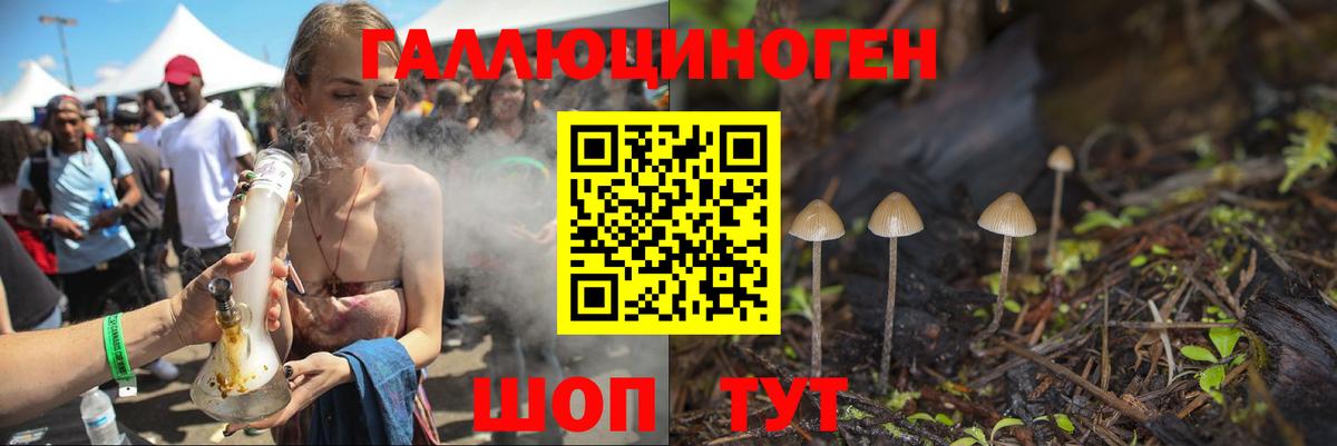 Псилоцибиновые грибы GOLDEN TEACHER Мегион